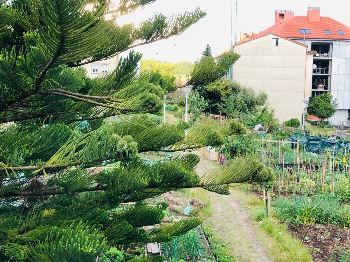 Albergue Sixtos No Caminho ซานติอาโก เด กอมโปสเตลา ภายนอก รูปภาพ
